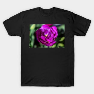 Double Purple Tulip T-Shirt